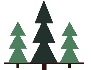 Mountain Pines